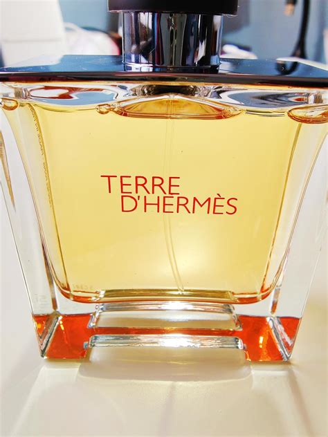 Terre d'Hermès Hermès одеколон — аромат для мужчин 